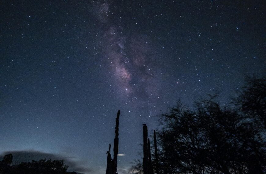 Starry night sky with the milky way above silhouetted cacti.