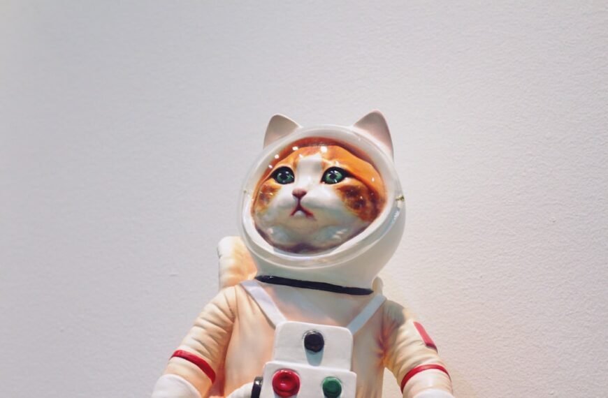 Photo Astronaut speaking