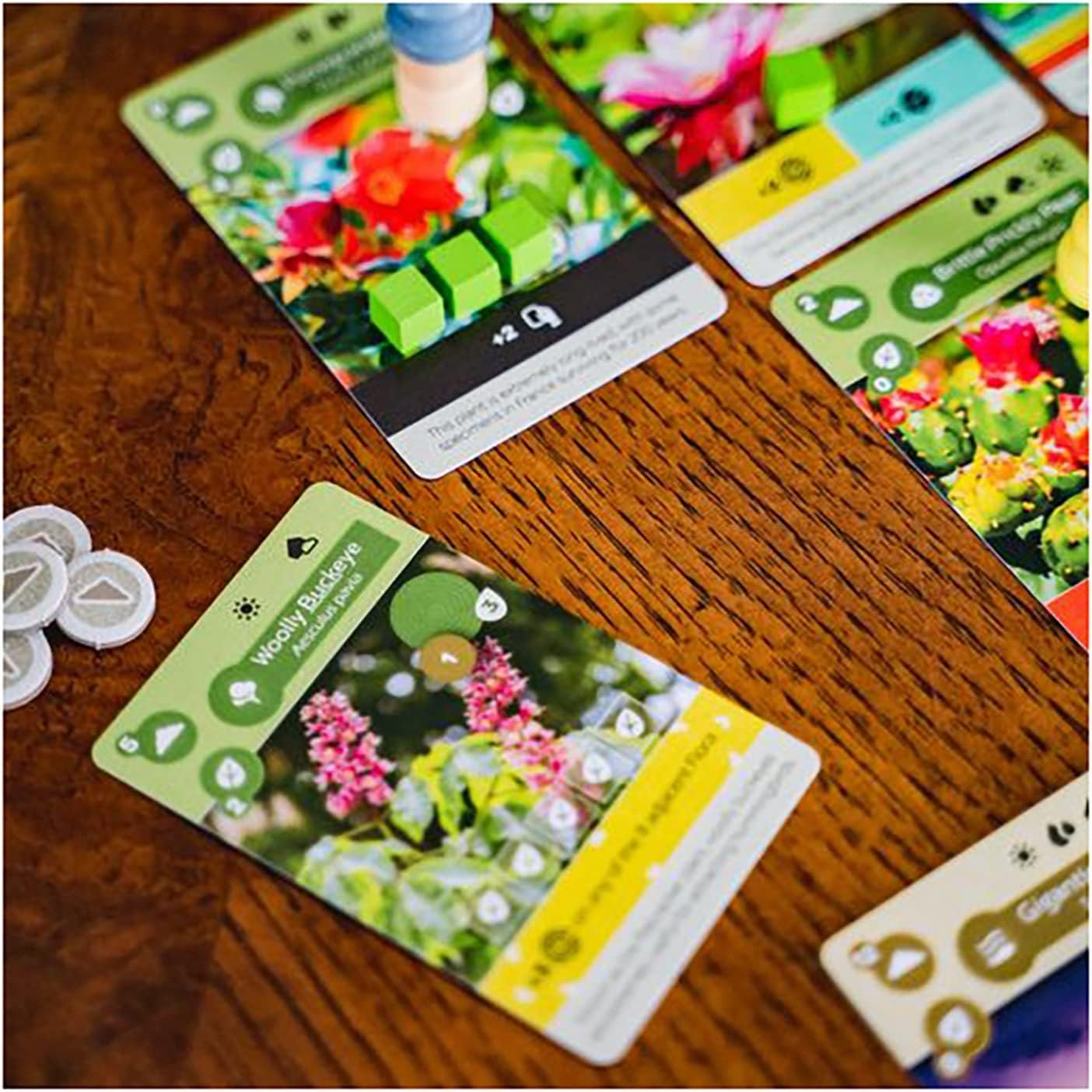 A tabletop game setup with various colorful cards featuring plants, tokens, and game pieces displayed on a wooden surface.