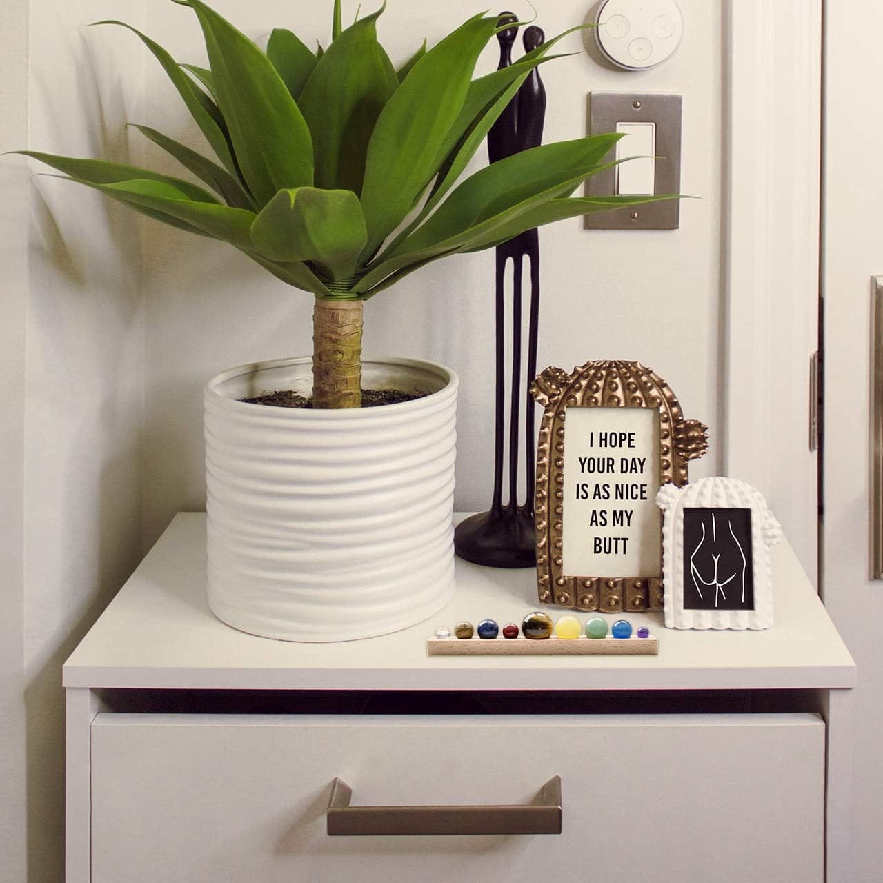 A potted plant on a white cabinet with a decorative cactus-shaped sculpture, a humorous sign, and a small line of colorful stones.