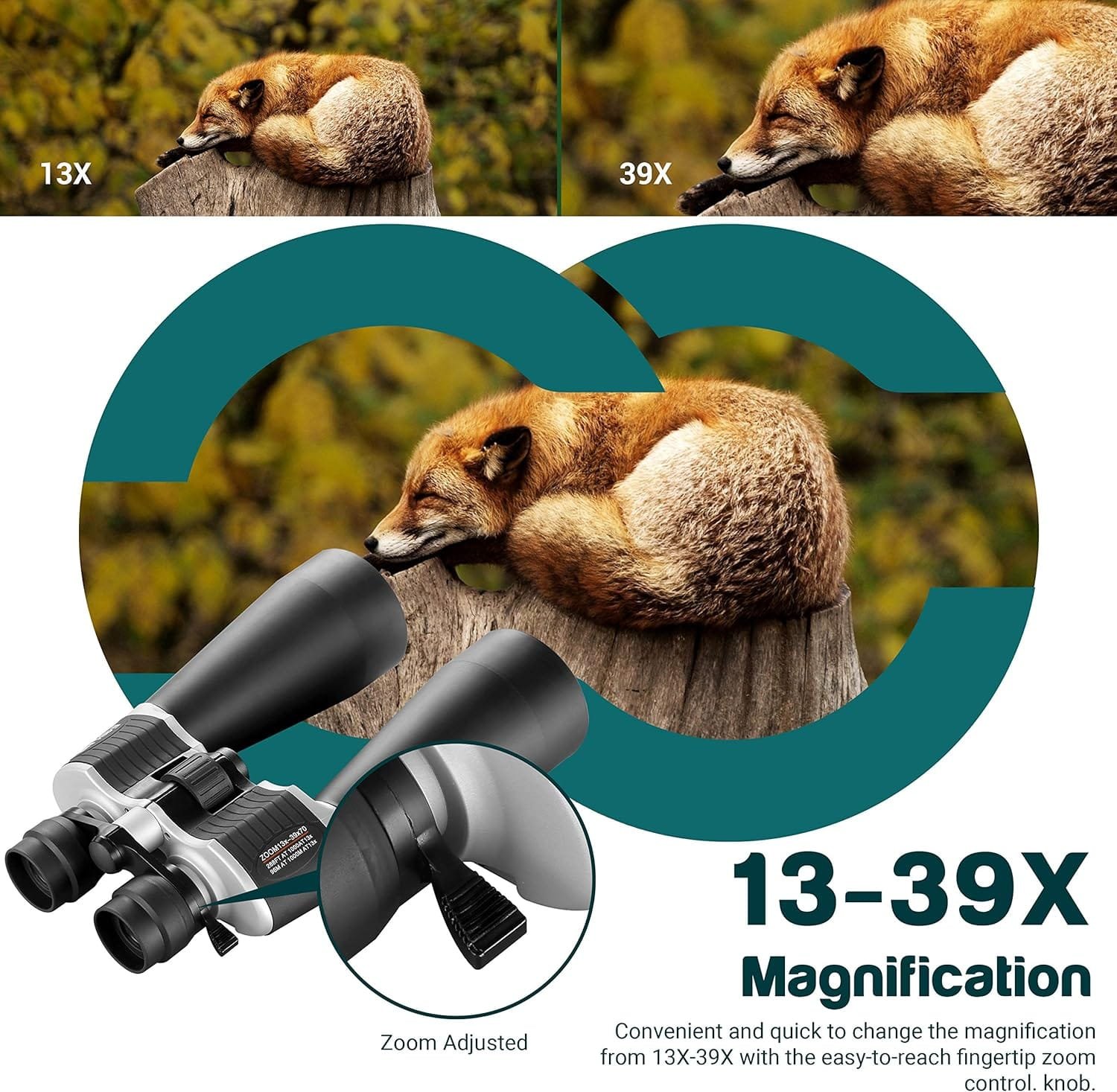 Close-up of a binocular advertisement showing a fox sleeping on a branch, illustrating 13x to 39x magnification.