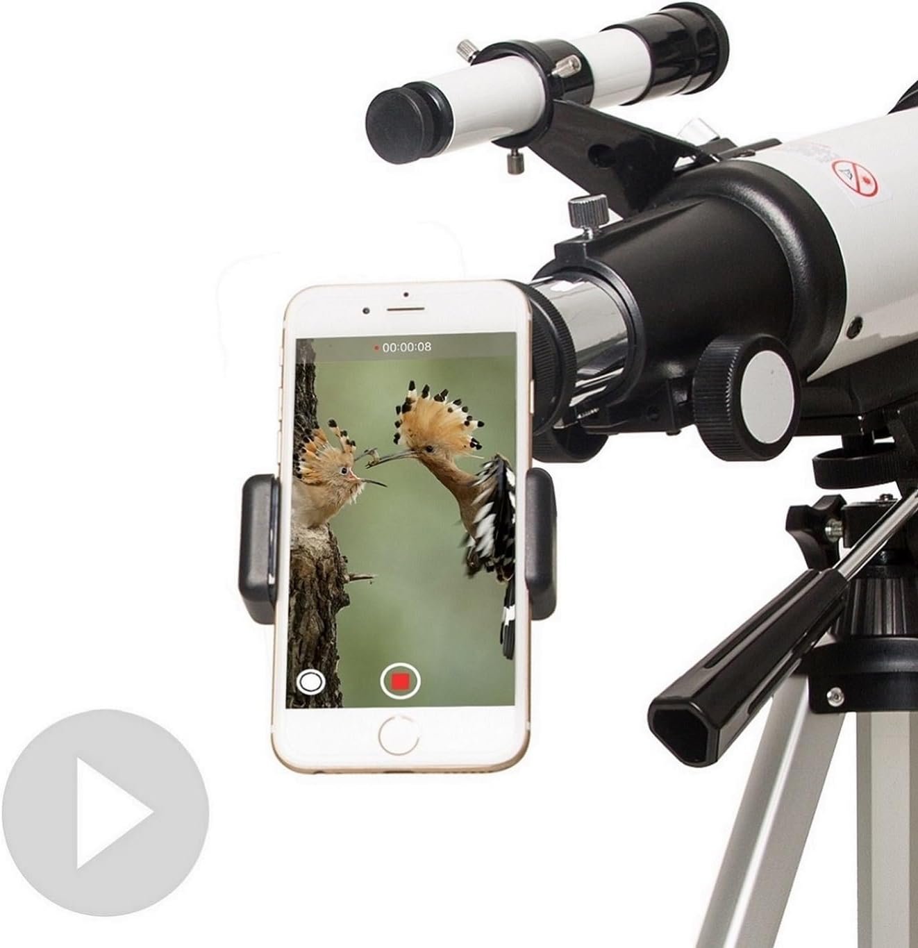 Smartphone attached to a telescope, capturing an image of two birds through a camera app.