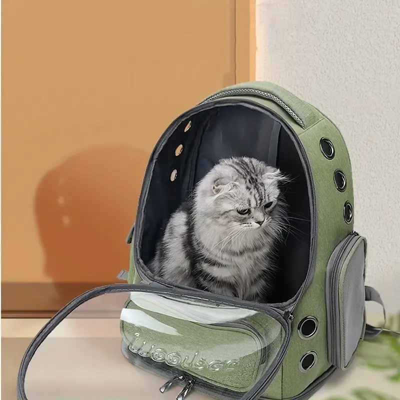 A gray cat sits inside a green pet carrier backpack with a transparent front. The backpack is open, and the cat is looking out.