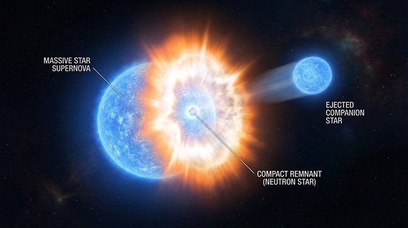 Illustration of a massive star exploding as a supernova, showing an ejected companion star and a compact neutron star remnant.