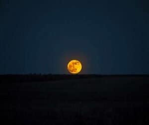 Buck Moon 2026: July's Full Moon Date, Time & Meaning