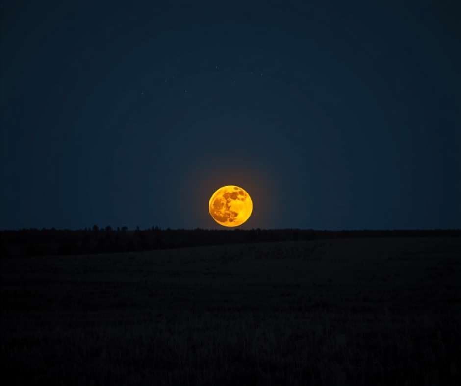 Buck Moon 2026: July's Full Moon Date, Time & Meaning